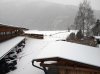 IMG_20181120_075518.jpg