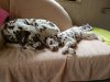 IMG_20171020_123438.jpg