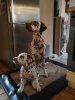 IMG_20171001_120418.jpg