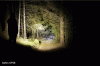_Loc1_02.gif