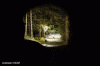 Loc1 all.gif Loc1 all.gif