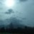 waldlicht