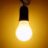 Mr.Lampe