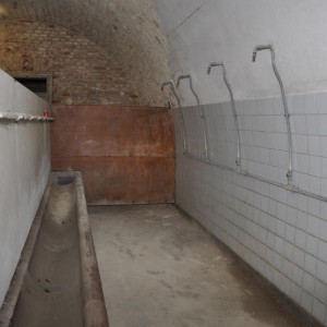 DSC 0024