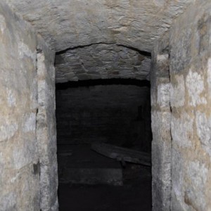 DSC 0029