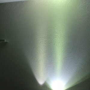IMG 6695