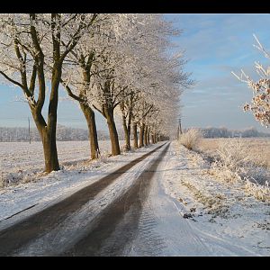 IMG_20170122_104730