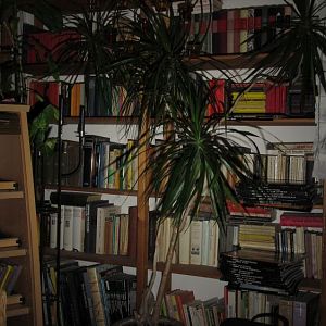Image95016
