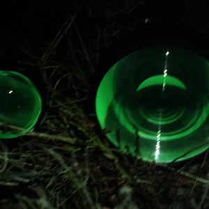 Glow in the Dark in der Wiese neben 75mm Linse