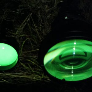 Glow in the Dark in der Wiese neben 75mm Linse
