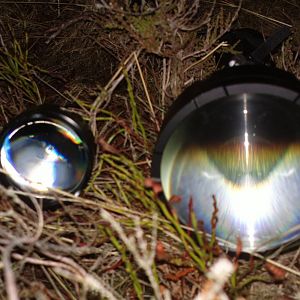 GT neben 75mm Linse im Gras