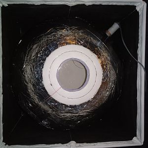 2018-08-31-3099_TLF