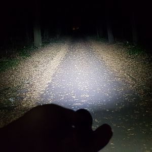 Lumintop B01 1