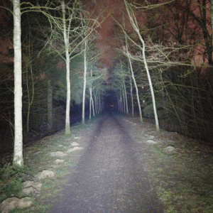 Beamshot GIF Small.gif