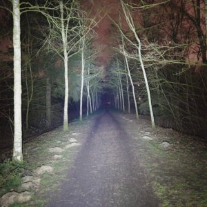 Wuben C3 2020 Beamshot.jpg