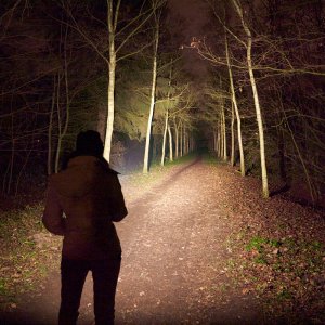 Olight Seeker 3 Pro Review Sofirn IF25A 21-12-11--22-26-42_1_f.jpg