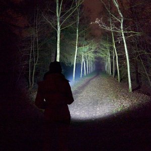 Olight Seeker 3 Pro Review Sofirn SP35 21-12-11--22-26-08_3_f.jpg