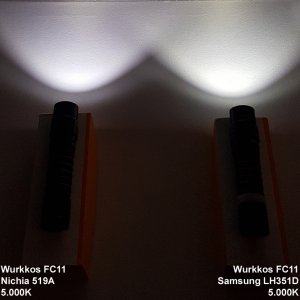 FC11 519A 5000K vs. FC11 LH351D 5000K - tint shot B.jpg