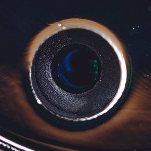 Acebeam K1 25-10-16--18-37-51_f