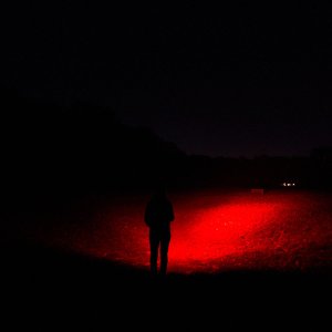 Olight Marauder Mini 2 25-11-20--22-11-09_f