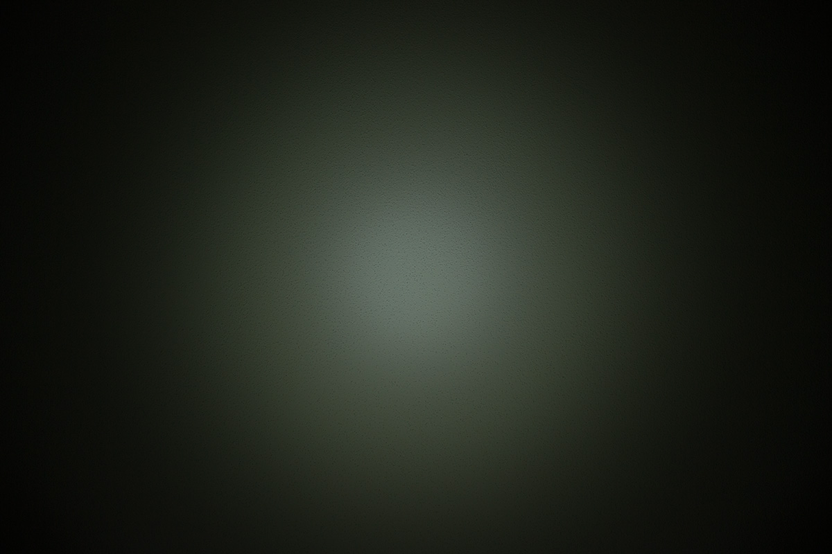 _WWS_01_Imalent DT70